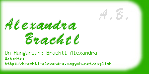 alexandra brachtl business card